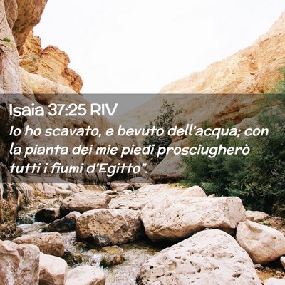Picture 02 - Isaia 37:25 RIV - Io ho scavato, e bevuto dell’acqua; con la - Bible Verse Picture
