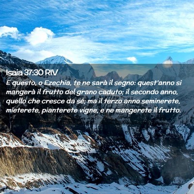 Picture 02 - Isaia 37:30 RIV - E questo, o Ezechia, te ne sarà il segno: - Bible Verse Picture
