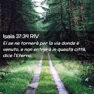 Picture 02 - Isaia 37:34 RIV - Ei se ne tornerà per la via donde è venuto, e - Bible Verse Picture
