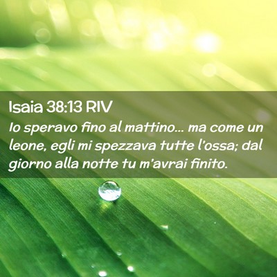 Picture 02 - Isaia 38:13 RIV - Io speravo fino al mattino… ma come un leone, - Bible Verse Picture