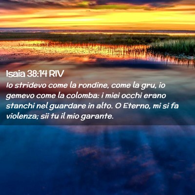 Picture 02 - Isaia 38:14 RIV - Io stridevo come la rondine, come la gru, io - Bible Verse Picture