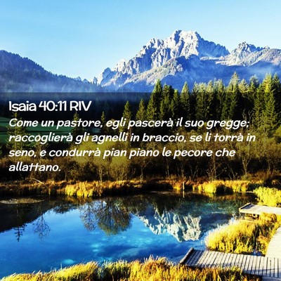 Picture 02 - Isaia 40:11 RIV - Come un pastore, egli pascerà il suo gregge; - Bible Verse Picture