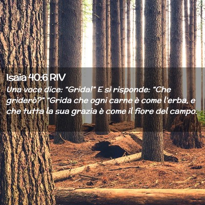 Picture 02 - Isaia 40:6 RIV - Una voce dice: “Grida!” E si risponde: “Che - Bible Verse Picture