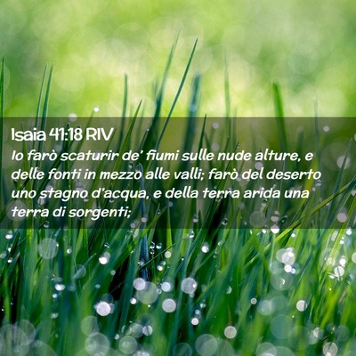 Picture 02 - Isaia 41:18 RIV - Io farò scaturir de’ fiumi sulle nude alture, - Bible Verse Picture