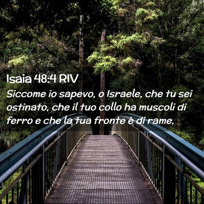 Picture 02 - Isaia 48:4 RIV - Siccome io sapevo, o Israele, che tu sei - Bible Verse Picture