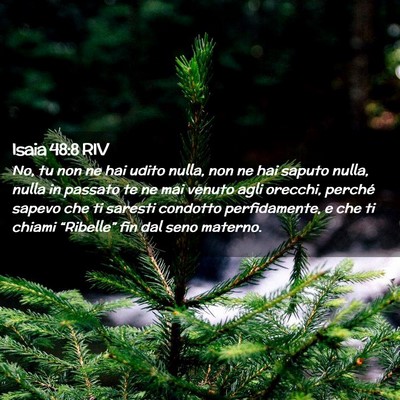 Picture 02 - Isaia 48:8 RIV - No, tu non ne hai udito nulla, non ne hai saputo - Bible Verse Picture