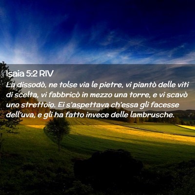 Picture 02 - Isaia 5:2 RIV - La dissodò, ne tolse via le pietre, vi piantò - Bible Verse Picture