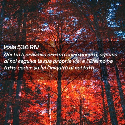 Picture 02 - Isaia 53:6 RIV - Noi tutti eravamo erranti come pecore, ognuno di - Bible Verse Picture
