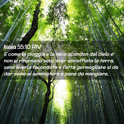 Picture 02 - Isaia 55:10 RIV - E come la pioggia e la neve scendon dal cielo e - Bible Verse Picture