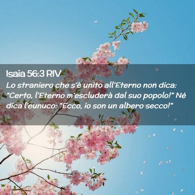 Picture 02 - Isaia 56:3 RIV - Lo straniero che s’è unito all’Eterno non - Bible Verse Picture