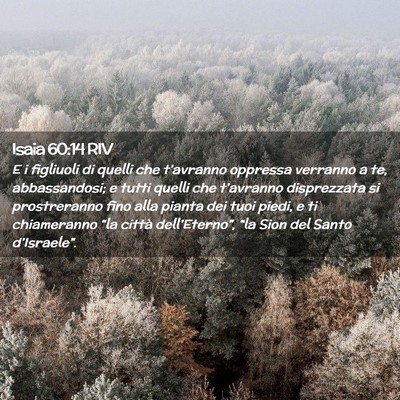 Picture 02 - Isaia 60:14 RIV - E i figliuoli di quelli che t’avranno oppressa - Bible Verse Picture