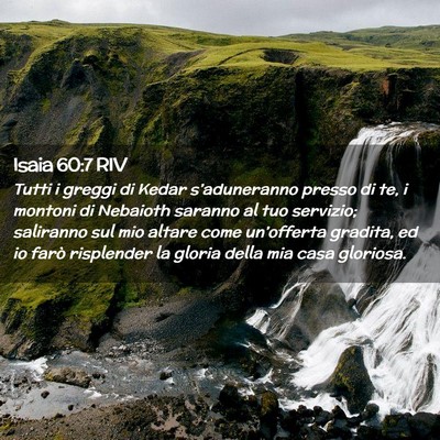 Picture 02 - Isaia 60:7 RIV - Tutti i greggi di Kedar s’aduneranno presso di - Bible Verse Picture