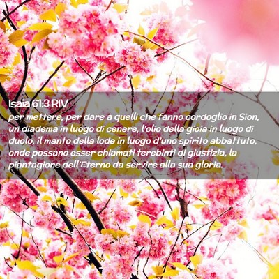 Picture 02 - Isaia 61:3 RIV - per mettere, per dare a quelli che fanno - Bible Verse Picture