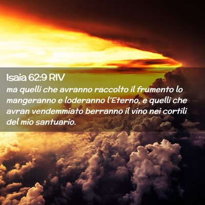 Picture 02 - Isaia 62:9 RIV - ma quelli che avranno raccolto il frumento lo - Bible Verse Picture
