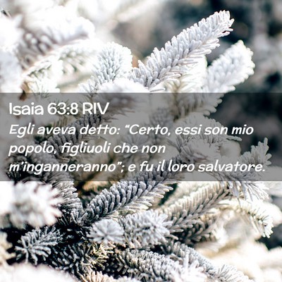 Picture 02 - Isaia 63:8 RIV - Egli aveva detto: “Certo, essi son mio popolo, - Bible Verse Picture