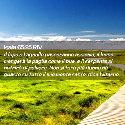 Picture 02 - Isaia 65:25 RIV - Il lupo e l’agnello pasceranno assieme, il - Bible Verse Picture