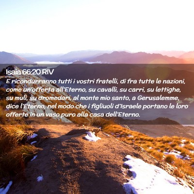 Picture 02 - Isaia 66:20 RIV - E ricondurranno tutti i vostri fratelli, di fra - Bible Verse Picture