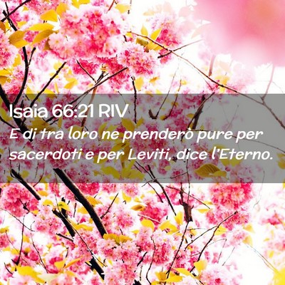Picture 02 - Isaia 66:21 RIV - E di tra loro ne prenderò pure per sacerdoti e - Bible Verse Picture