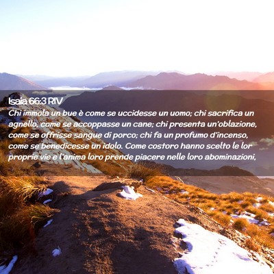 Picture 02 - Isaia 66:3 RIV - Chi immola un bue è come se uccidesse un uomo; - Bible Verse Picture