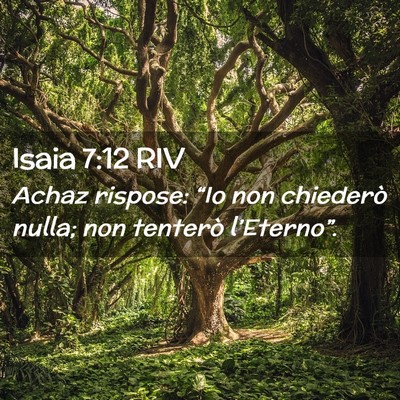 Picture 02 - Isaia 7:12 RIV - Achaz rispose: “Io non chiederò nulla; non - Bible Verse Picture