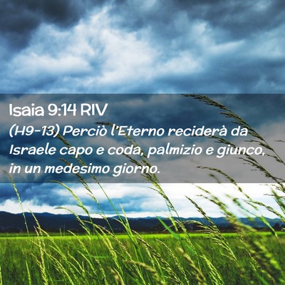 Picture 02 - Isaia 9:14 RIV - (H9-13) Perciò l’Eterno reciderà da Israele - Bible Verse Picture