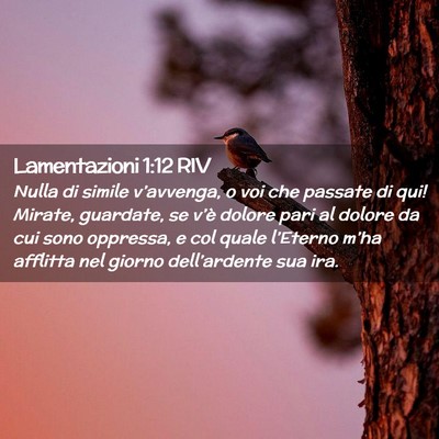 Picture 02 - Lamentazioni 1:12 RIV - Nulla di simile v’avvenga, o voi che passate di - Bible Verse Picture