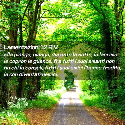 Picture 02 - Lamentazioni 1:2 RIV - Ella piange, piange, durante la notte, le lacrime - Bible Verse Picture