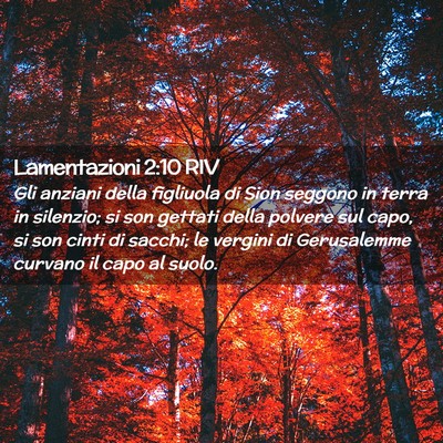 Picture 02 - Lamentazioni 2:10 RIV - Gli anziani della figliuola di Sion seggono in - Bible Verse Picture