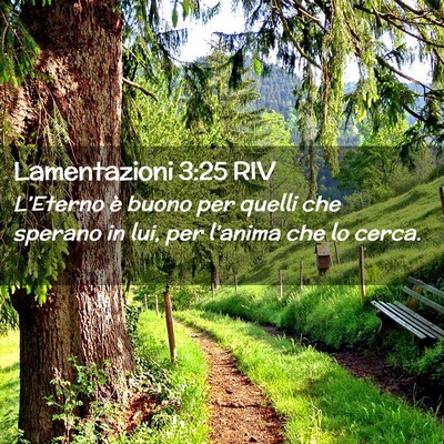 Picture 02 - Lamentazioni 3:25 RIV - L’Eterno è buono per quelli che sperano in - Bible Verse Picture
