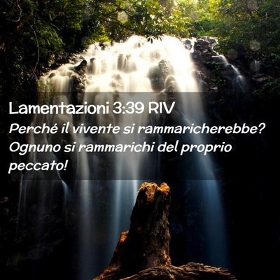 Picture 02 - Lamentazioni 3:39 RIV - Perché il vivente si rammaricherebbe? Ognuno si - Bible Verse Picture