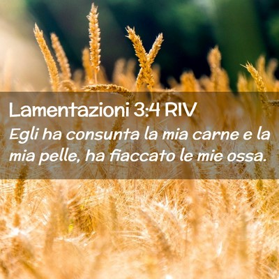 Picture 02 - Lamentazioni 3:4 RIV - Egli ha consunta la mia carne e la mia pelle, ha - Bible Verse Picture