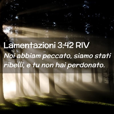 Picture 02 - Lamentazioni 3:42 RIV - Noi abbiam peccato, siamo stati ribelli, e tu non - Bible Verse Picture