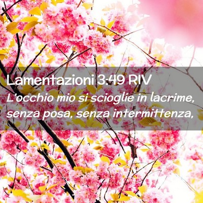 Picture 02 - Lamentazioni 3:49 RIV - L’occhio mio si scioglie in lacrime, senza - Bible Verse Picture