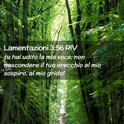 Picture 02 - Lamentazioni 3:56 RIV - tu hai udito la mia voce; non nascondere il tuo - Bible Verse Picture
