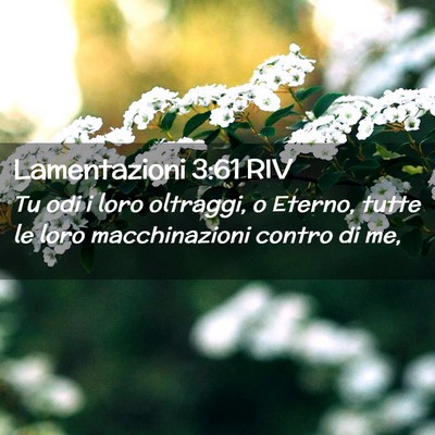 Picture 02 - Lamentazioni 3:61 RIV - Tu odi i loro oltraggi, o Eterno, tutte le loro - Bible Verse Picture