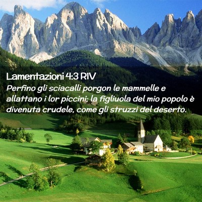 Picture 02 - Lamentazioni 4:3 RIV - Perfino gli sciacalli porgon le mammelle e - Bible Verse Picture