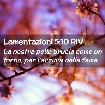 Picture 02 - Lamentazioni 5:10 RIV - La nostra pelle brucia come un forno, per - Bible Verse Picture
