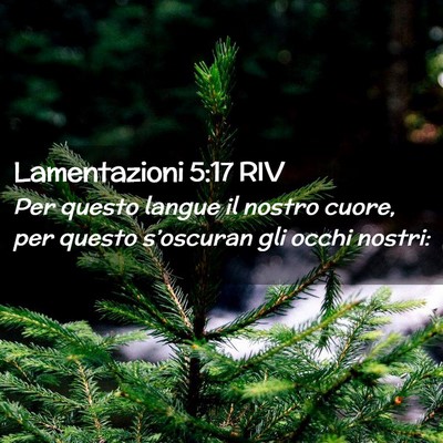 Picture 02 - Lamentazioni 5:17 RIV - Per questo langue il nostro cuore, per questo - Bible Verse Picture