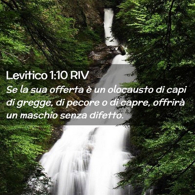 Picture 02 - Levitico 1:10 RIV - Se la sua offerta è un olocausto di capi di - Bible Verse Picture