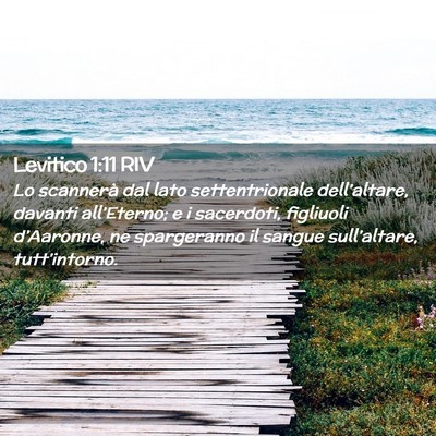 Picture 02 - Levitico 1:11 RIV - Lo scannerà dal lato settentrionale - Bible Verse Picture