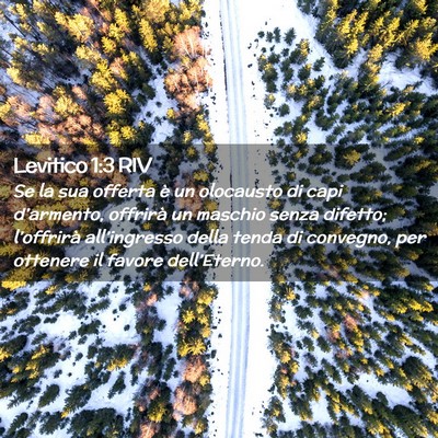 Picture 02 - Levitico 1:3 RIV - Se la sua offerta è un olocausto di capi - Bible Verse Picture