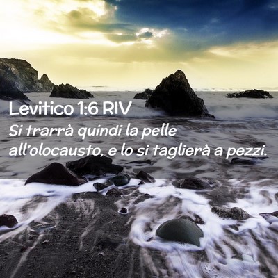 Picture 02 - Levitico 1:6 RIV - Si trarrà quindi la pelle all’olocausto, e lo - Bible Verse Picture