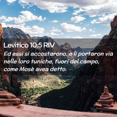 Picture 02 - Levitico 10:5 RIV - Ed essi si accostarono, e li portaron via nelle - Bible Verse Picture