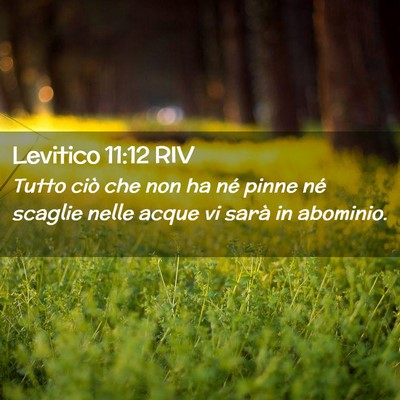 Picture 02 - Levitico 11:12 RIV - Tutto ciò che non ha né pinne né scaglie nelle - Bible Verse Picture