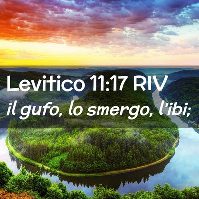 Picture 02 - Levitico 11:17 RIV - il gufo, lo smergo, - Bible Verse Picture