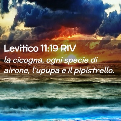 Picture 02 - Levitico 11:19 RIV - la cicogna, ogni specie di airone, l’upupa e il - Bible Verse Picture