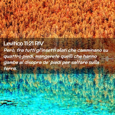 Picture 02 - Levitico 11:21 RIV - Però, fra tutti gl’insetti alati che camminano - Bible Verse Picture