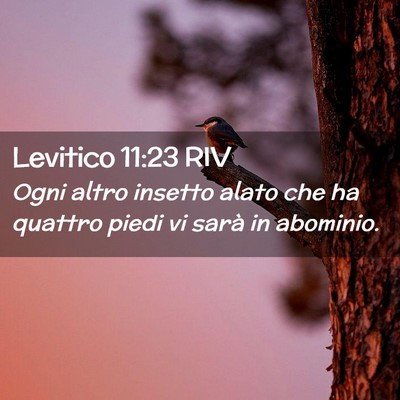 Picture 02 - Levitico 11:23 RIV - Ogni altro insetto alato che ha quattro piedi vi - Bible Verse Picture