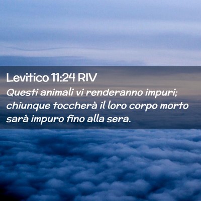 Picture 02 - Levitico 11:24 RIV - Questi animali vi renderanno impuri; chiunque - Bible Verse Picture