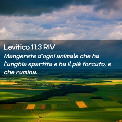 Picture 02 - Levitico 11:3 RIV - Mangerete d’ogni animale che ha l’unghia - Bible Verse Picture
